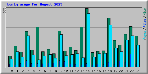 Hourly usage for August 2023