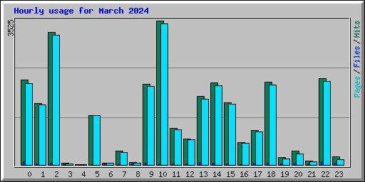 Hourly usage for March 2024