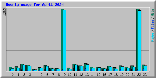 Hourly usage for April 2024