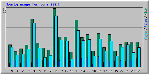 Hourly usage for June 2024