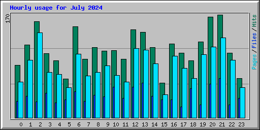 Hourly usage for July 2024