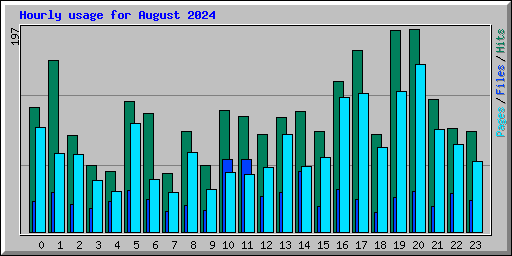 Hourly usage for August 2024